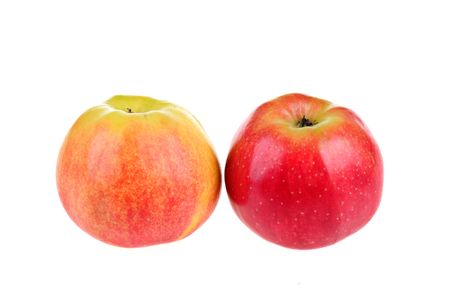 Two apples isolated on the white background.の写真素材