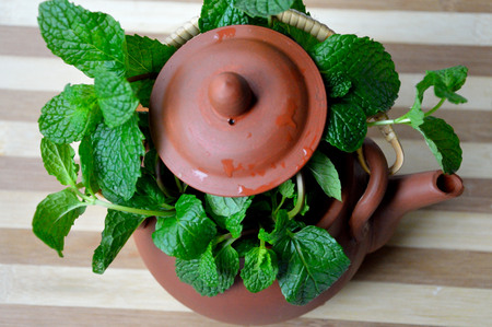 Fresh mint tea for twoの写真素材