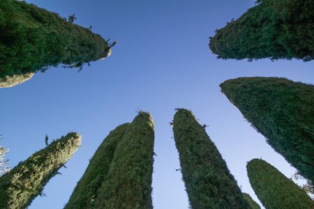 park viewの写真素材