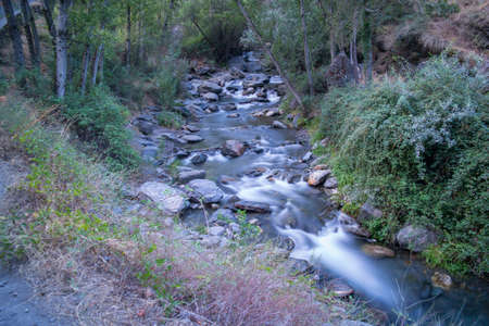landscape river forest water stones grass summer