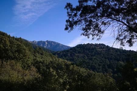 Mountain landscape with green forest and blue sky on a sunny day