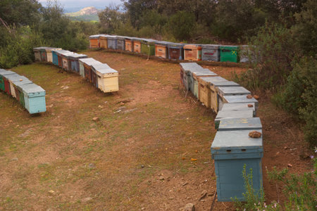 Beehives in the countryside of the island of Crete, Greece