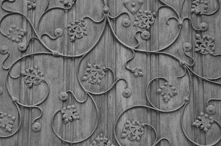 Leaves patternの写真素材