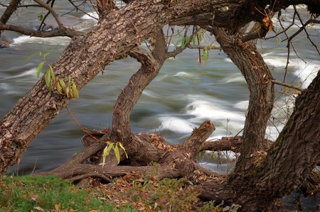 a rapid stream of water is in the river, autumn