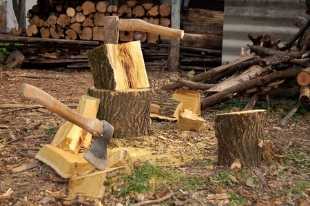 axes and wooden stumps in place of purveyance of firewoods