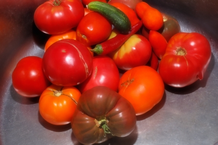 fresh tomatoes and peppers for a vegetable saladの写真素材