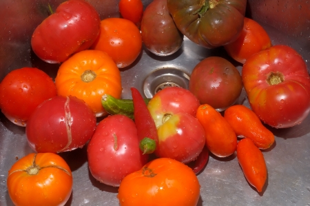 fresh tomatoes and peppers for a vegetable saladの写真素材