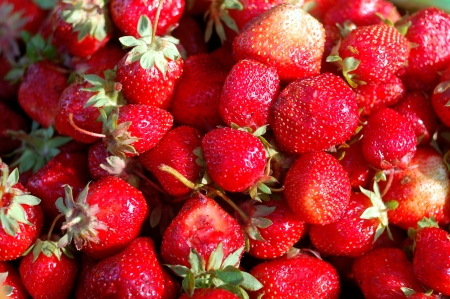 recent foiled a large and juicy red strawberriesの写真素材
