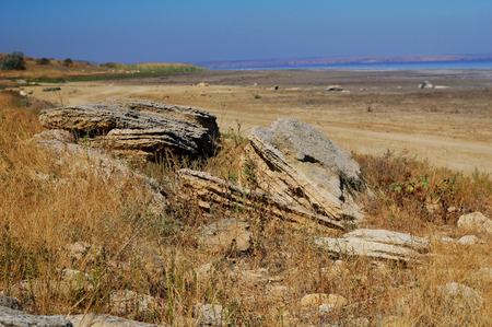 old sand stones on the hillside by olive treesの写真素材