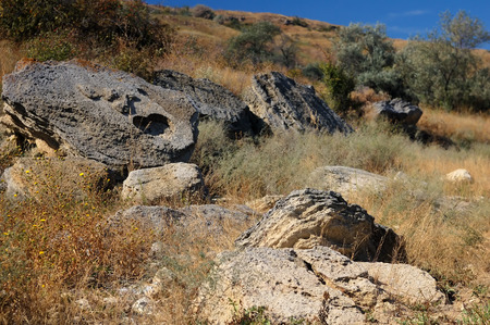 old sand stones on the hillside by olive treesの写真素材