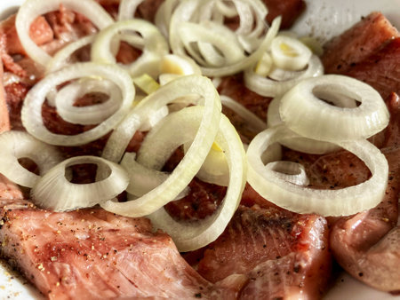 salted herring with white onion on a white plateの写真素材