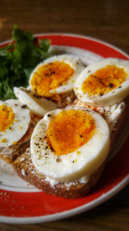 A healthy breakfast of boiled eggs on toast, seasoned with pepper and fresh herbs.の写真素材