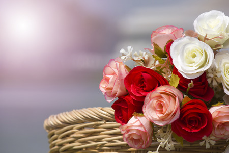 fabric roses and backgroundの写真素材