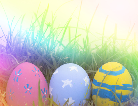 Easter eggs hiding in the grass