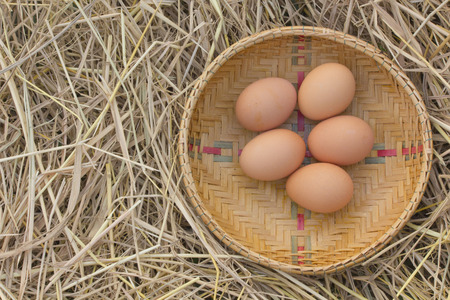 Horizontal photo of several hen eggs which are placed on nice haystack from dried straws and inside wicker basket. Light wooden wall is in background.の写真素材