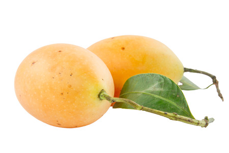 Plum mango, or Marian plum fruit isolated 