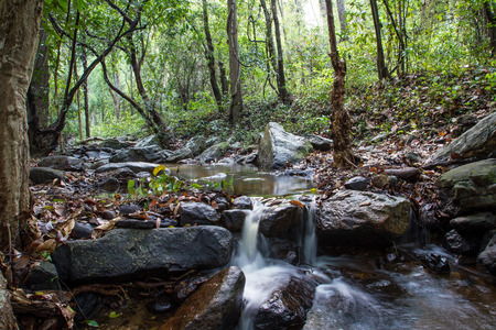 mountain river in the woodの写真素材
