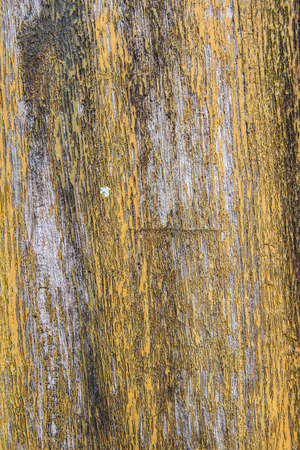 closeup view of brown wood texture backgroundの写真素材