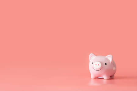 Pink piggy bank isolated on pink background with copy space. Financial and saving money concept.の写真素材
