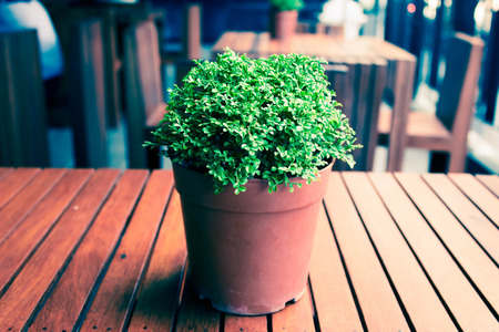 Nature on the tableの写真素材