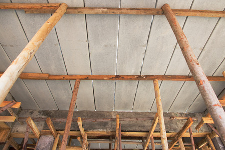 Bracing eucalyptus under beams  and concrete slabs.