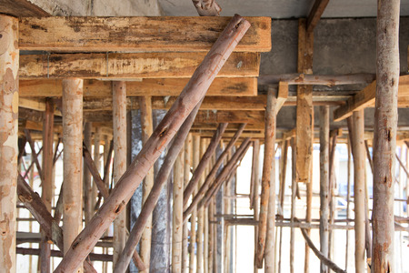 Bracing eucalyptus under beams  and concrete slabs.の写真素材
