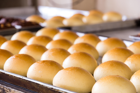 Thai baking Bread pandan custard fillingの写真素材