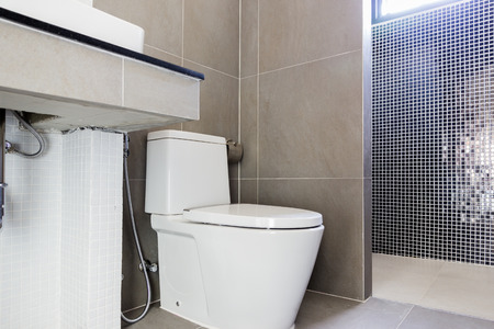 Modern design home bathroom toilet and sink White colur sanitary ware in the bathroom