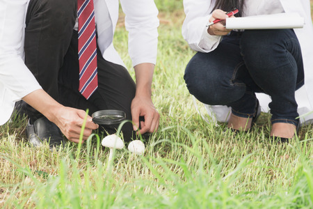 People research studying nature and with notebookの写真素材