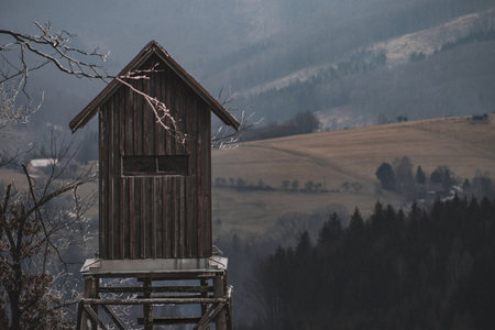 the hunter's houseの写真素材