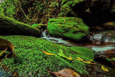 beautiful waterfall in green forest in jungle at Phu Soi Dao mountain, Phitsanulok, Thailand.