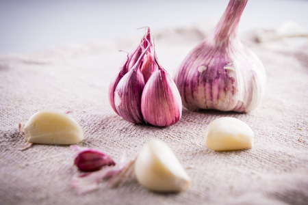 Garlic over rustic backgroundの写真素材