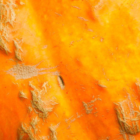 Pumpkin skin texture (orange background)の写真素材