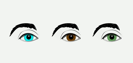 beautiful human eyes. Vectorのイラスト素材