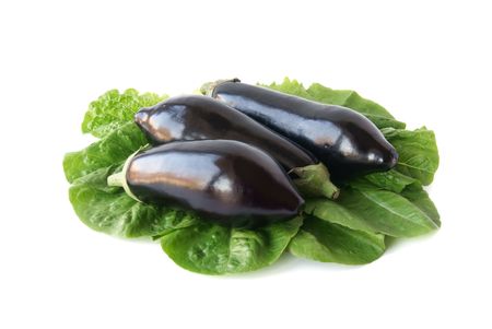 three fresh aubergine on lettuce leaves on an isolated white backgroundの写真素材