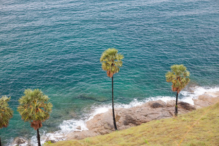 A road to Promthep Cape, flandmark of Phuket islandの写真素材
