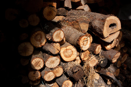Stack of sawn timber, Wood texture.