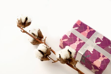 Cotton flower with a gift on a white background. Happy easter.の写真素材
