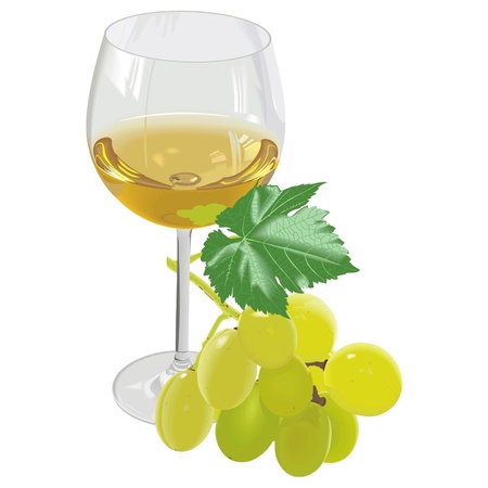 wine grapesのイラスト素材
