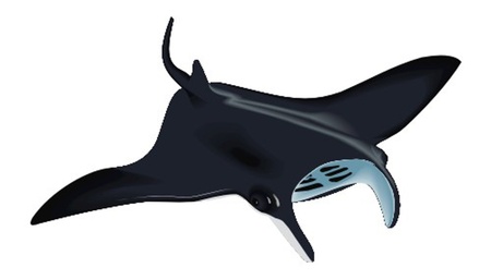 scateのイラスト素材