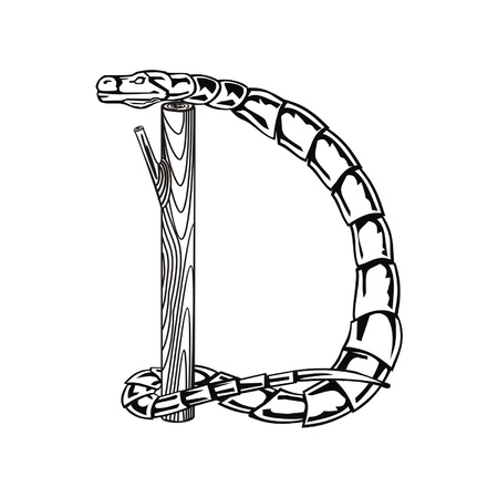 Letter snake Dのイラスト素材