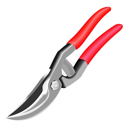 secateursのイラスト素材