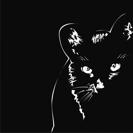 catのイラスト素材