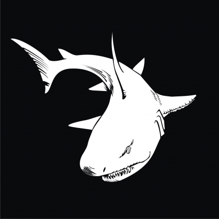 sharkのイラスト素材