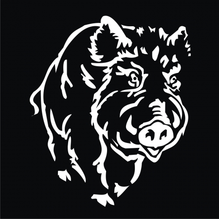 wild boarのイラスト素材