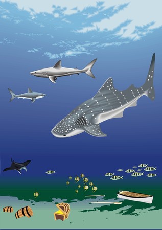 underwater with sharkのイラスト素材