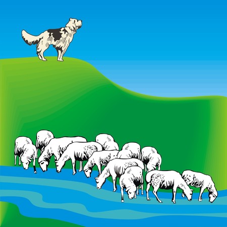 dog guarding a flock of sheepのイラスト素材