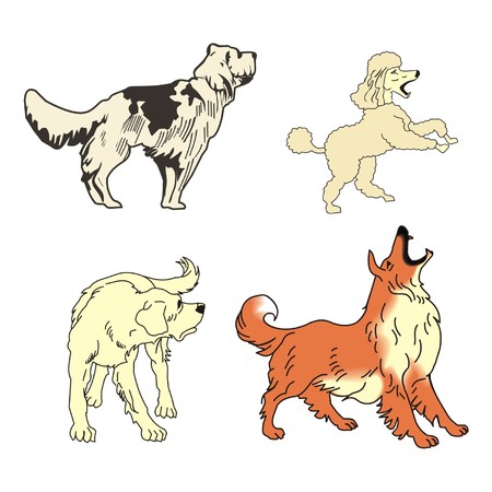dogsのイラスト素材