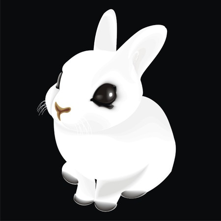 Bunny on a black backgroundのイラスト素材
