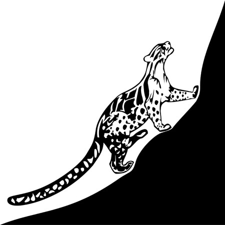 felins wild catのイラスト素材